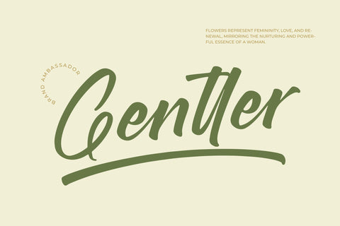 Brighten Shootters - Modern Script Font Font Letterena Studios 
