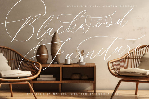 Brightera Himalaye - Beautiful Script Calligraphy Font Letterena Studios 