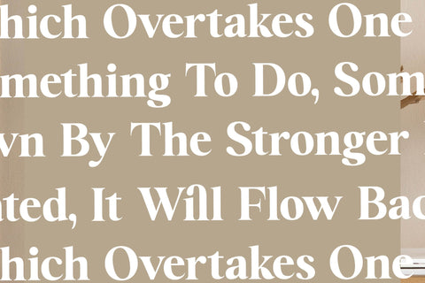 Brilyan Rogale - Modern Vintage Serif Font Letterena Studios 