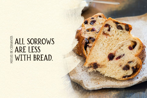Brioche Rustic Serif Font Family Font Beck McCormick 