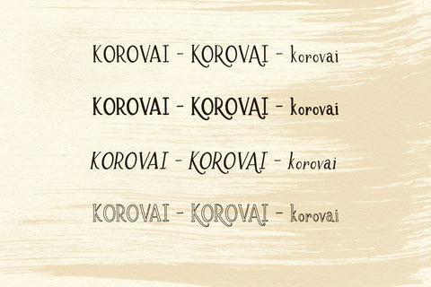 Brioche Rustic Serif Font Family Font Beck McCormick 