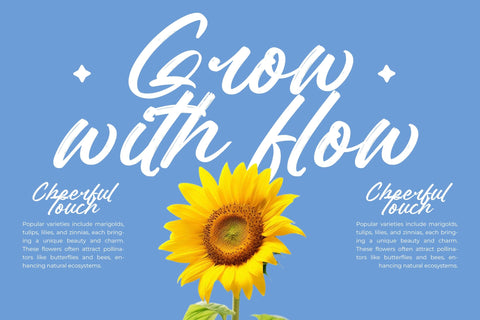 Britany Ristov - Bold Brush Font Font Letterena Studios 