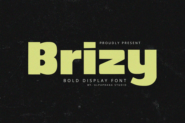 Brizy - Display Sans Font Alpaprana Studio 