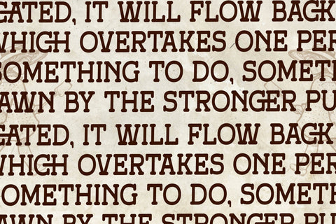Broken Ranch - Vintage Slab Serif Font Font Storytype Studio 