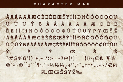 Broken Ranch - Vintage Slab Serif Font Font Storytype Studio 