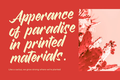 Broklyn Enthusia - Bold Handwritten Font Font Letterena Studios 