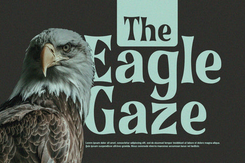 Bronze Stone - Serif Font Font Alpaprana Studio 