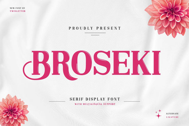 Broseki - Serif Display Font Font twinletter 