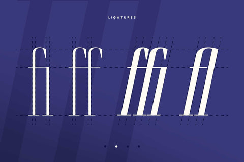 Brozeri – Casual Serif Family Font Arterfak Project 