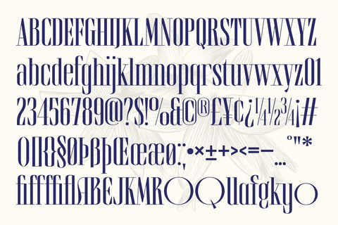Brozeri – Casual Serif Family Font Arterfak Project 