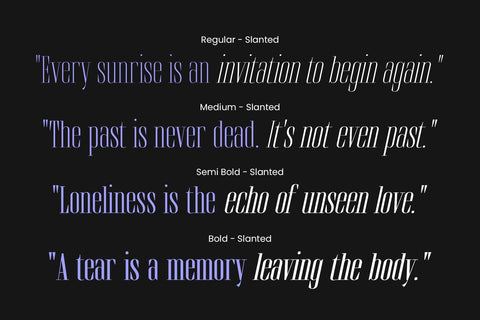 Brozeri – Casual Serif Family Font Arterfak Project 