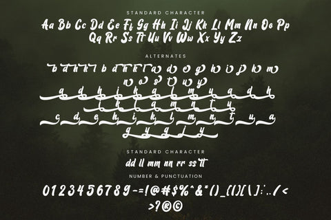 Bruschetta - Retro Script Font Font Mozarella 