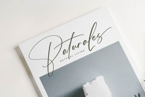 Budapesta Romantes - Modern Signature Script Font Letterena Studios 