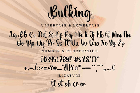 Bulking Font LetterdayStudio 