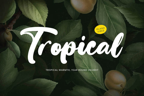 Bumble Ritual - Bold Handwritten Font Font Letterena Studios 