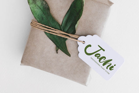 Bumble Ritual - Bold Handwritten Font Font Letterena Studios 