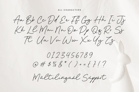 Bunny Kinsley - Casual Handwritten Script Font Font Timur type 