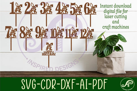 Bunny personalized number cake toppers, 13 designs SVG SVG APInspireddesigns 