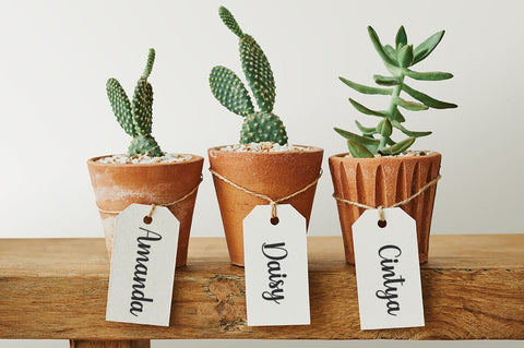 Bunny Playdate Font Studio Natural Ink 