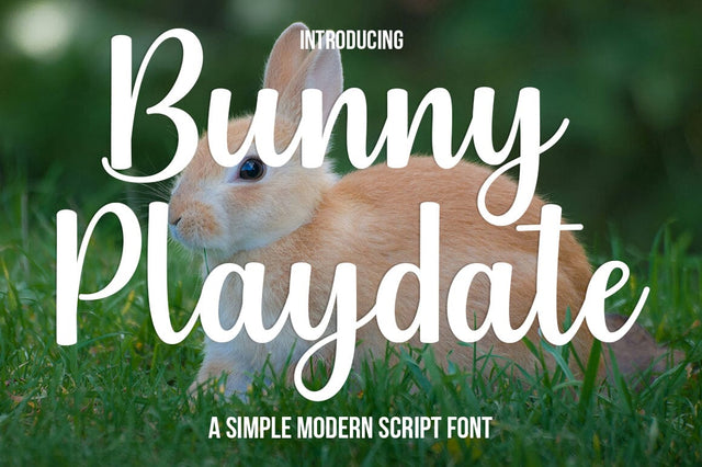 Bunny Playdate Font Studio Natural Ink 