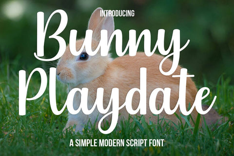 Bunny Playdate Font Studio Natural Ink 