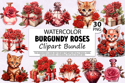 Burgundy Roses Watercolor Clipart Bundle Sublimation Regulrcrative 