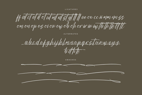 Butnekia - Modern Signature Font Font Letterena Studios 