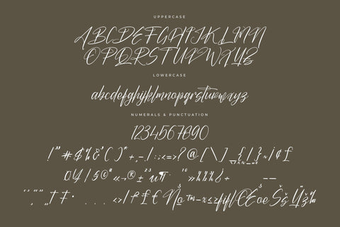 Butnekia - Modern Signature Font Font Letterena Studios 