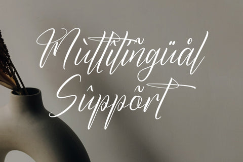 Butnekia - Modern Signature Font Font Letterena Studios 