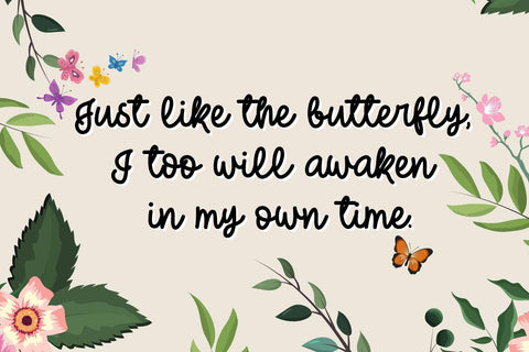 Butterfly Signature Font Dm Letter Studio 