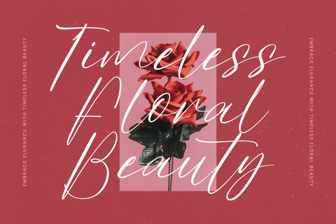 Butterfly Wonders - Modern Freestyle Font Font Letterena Studios 