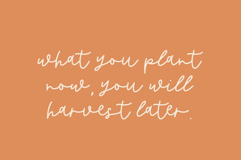 Butternut Script Font Font Beck McCormick 