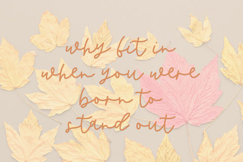Butternut Script Font Font Beck McCormick 