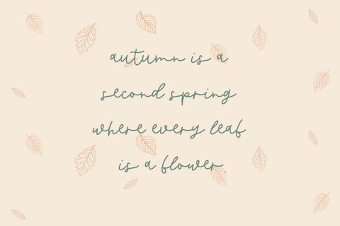 Butternut Script Font Font Beck McCormick 