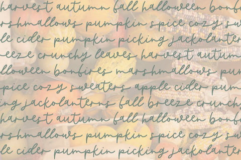 Butternut Script Font Font Beck McCormick 
