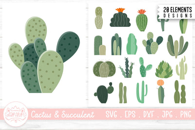 Cactus And Succulent Clipart Bundle SVG dapiyupi store 