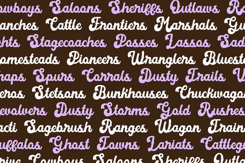 Cactus Cowboy Western Script Font Font Blush Font Co. 