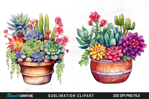 Cactus Watercolor Clipart Bundle Sublimation Regulrcrative 