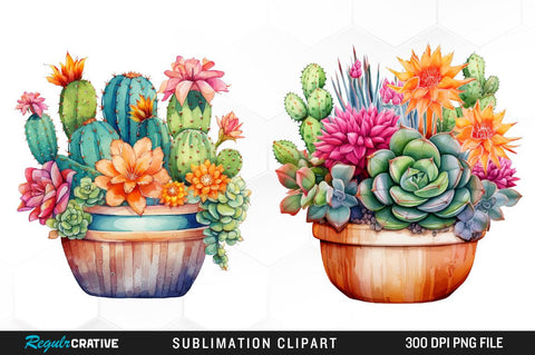 Cactus Watercolor Clipart Bundle Sublimation Regulrcrative 