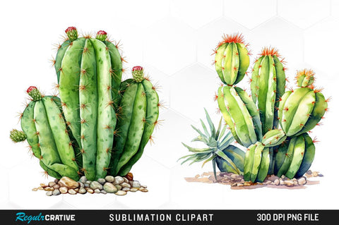 Cactus Watercolor Clipart Bundle Sublimation Regulrcrative 