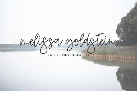 Calamity Street Script Font Beck McCormick 