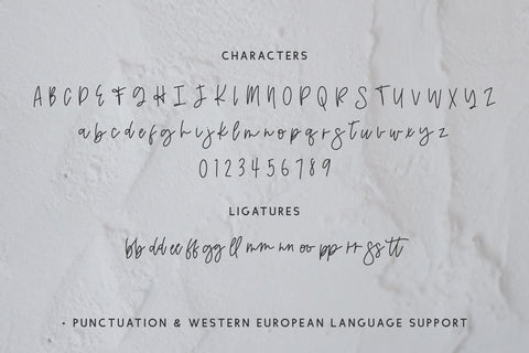Calamity Street Script Font Beck McCormick 