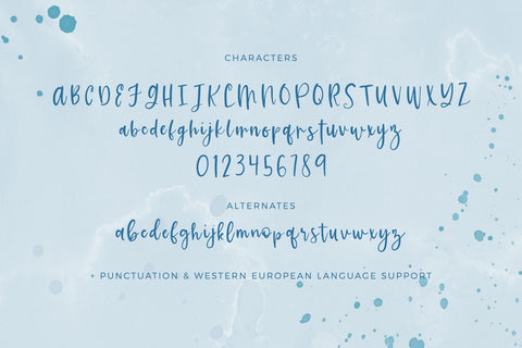 Cali Coast Script Font Font Beck McCormick 
