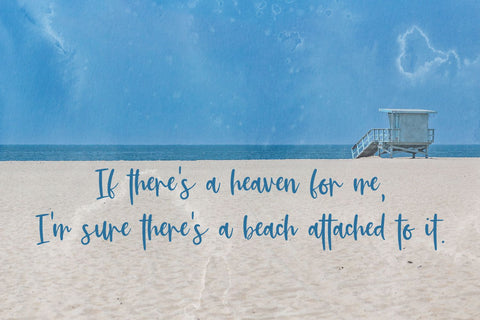 Cali Coast Script Font Font Beck McCormick 