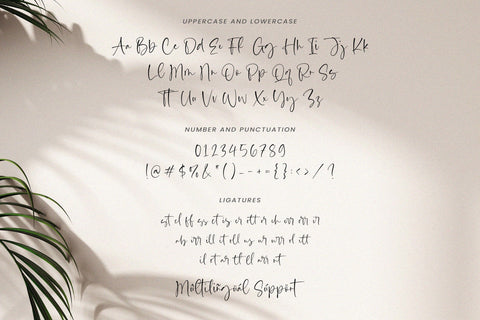 Calista Brighton - Handwritten Script Font Font Timur type 