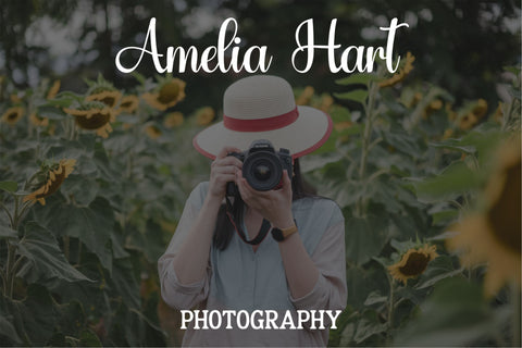 Calisto Font, Wedding Font OTF TTF, Modern Calligraphy, Script Font, Fonts for Cricut, Handwritten, Silhouette Fonts, Procreate Font Font TonisArtStudio 