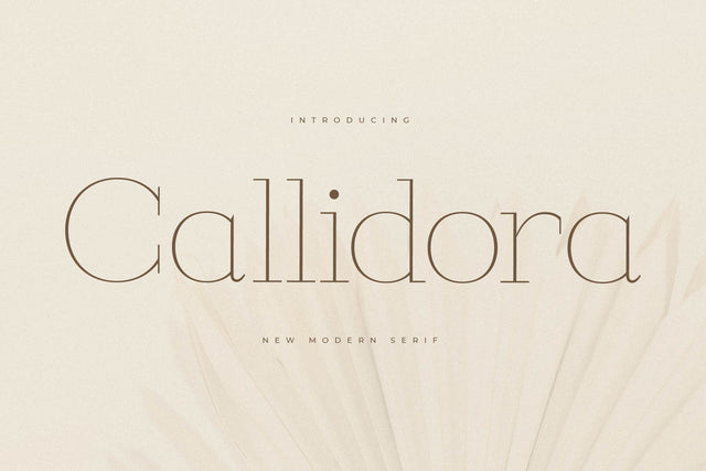 Callidora - New Modern Serif Font Storytype Studio 