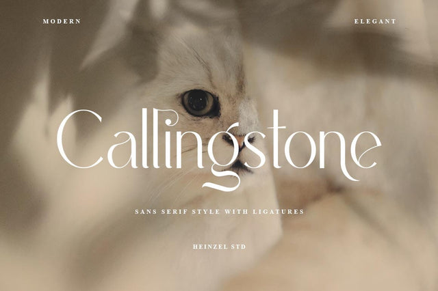 Callingstone Modern Sans Serif Font Font Heinzel Studio 