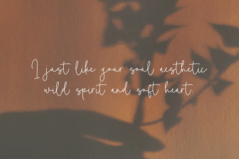 Camelia Boutiue Font Font Balpirick 