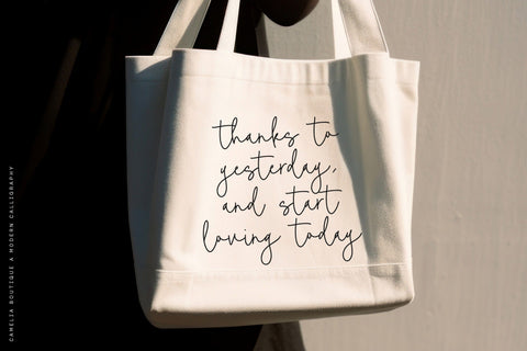 Camelia Boutiue Font Font Balpirick 